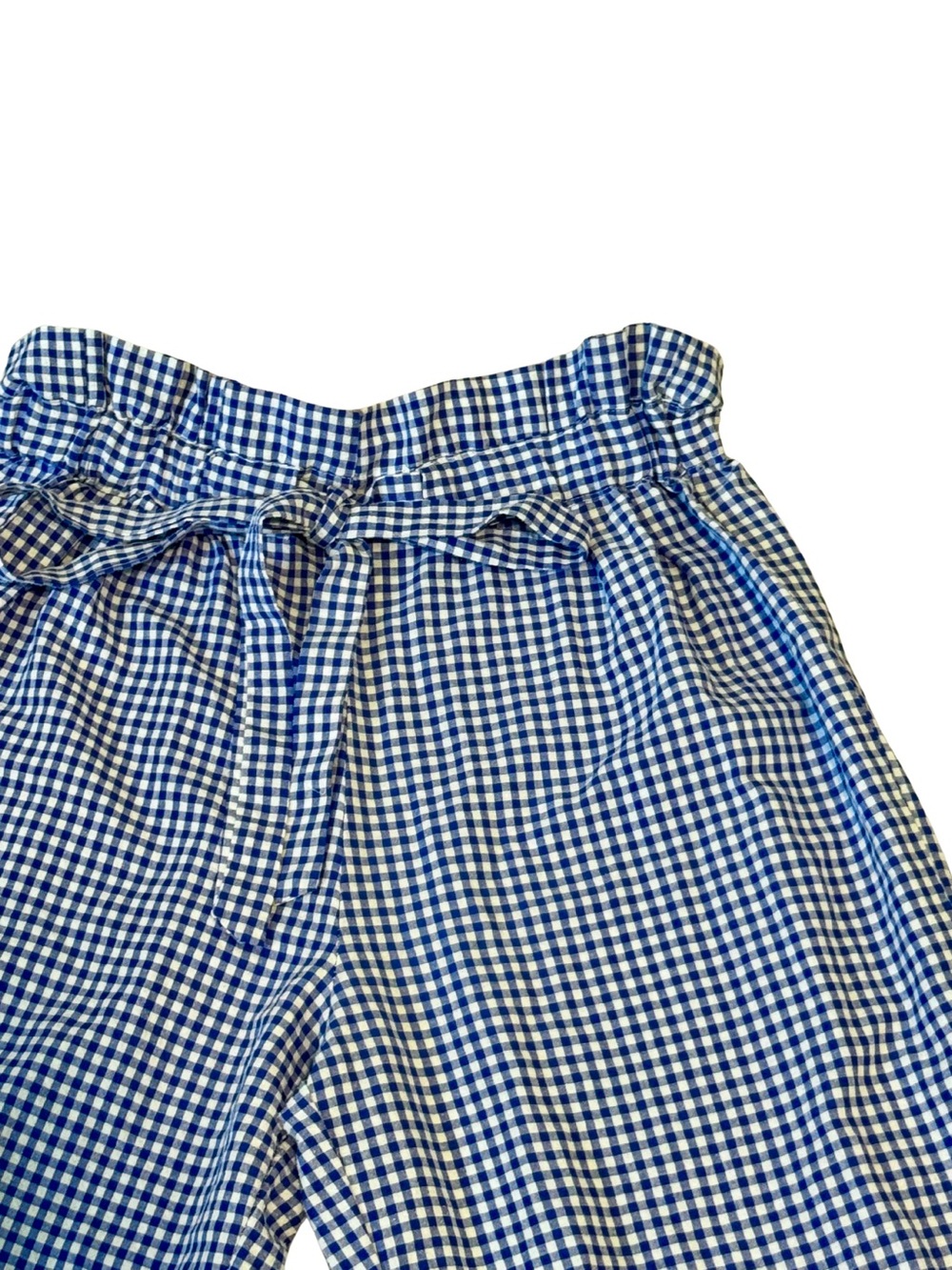 JOIE | Blue Gingham Paperbag Waist Pants - Picture 2 of 3